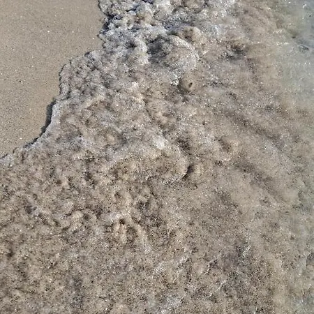 Hébergement de vacances La Dimora Del Pescatore