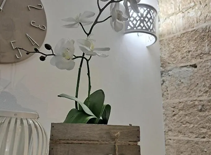 Casa vacanze La Dimora Del Pescatore *